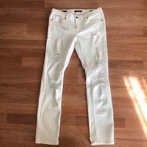 VIGOSS The Thompson Tomboy